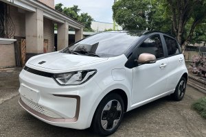 思皓E10X 思皓 花仙子款 四葉草