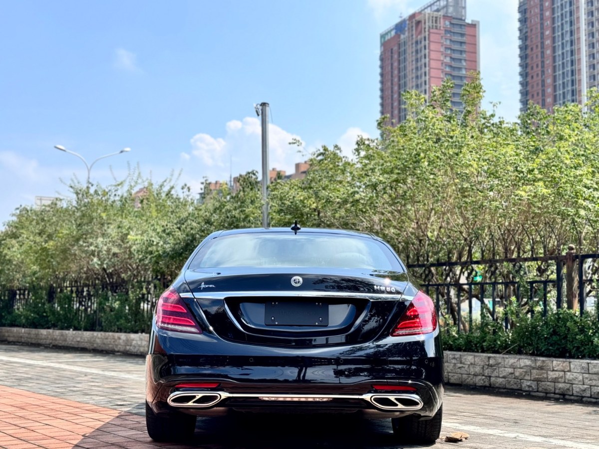 奔驰 奔驰S级  2019款 S 450 L 4MATIC图片