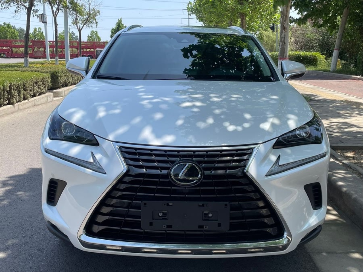 雷克薩斯 NX  2020款 200 全驅(qū) 鋒尚版 國(guó)V圖片