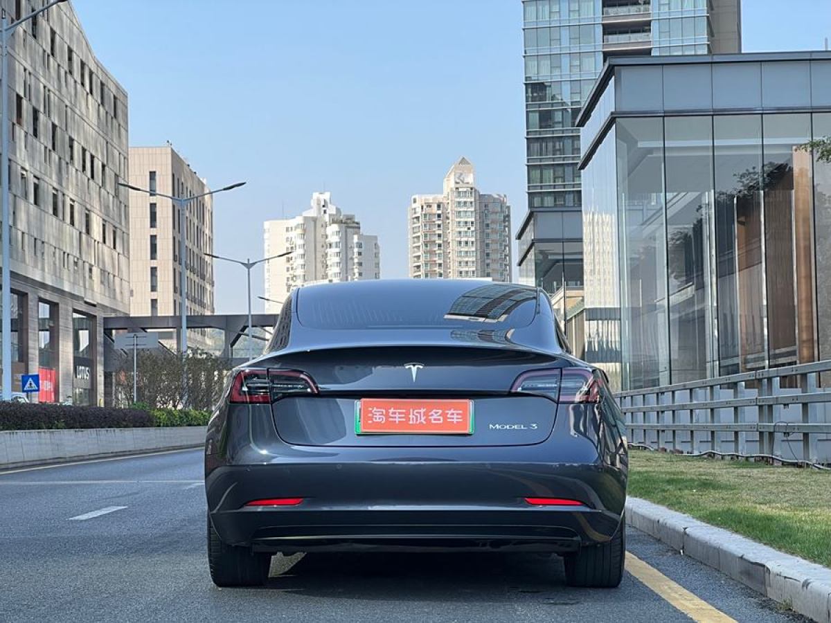 特斯拉 Model 3  2020款 改款 長續(xù)航后輪驅(qū)動版圖片