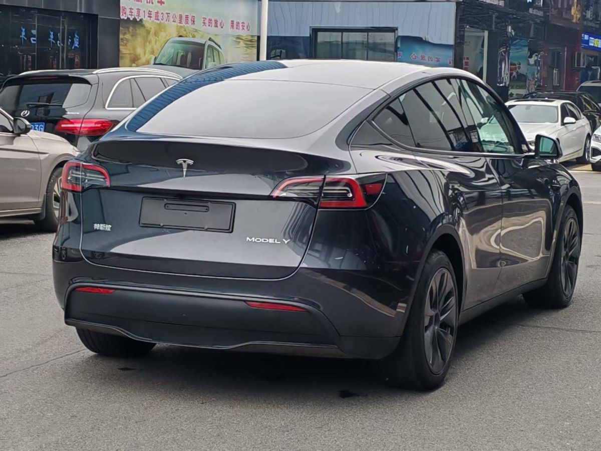 特斯拉 Model Y  2024款 Performance高性能版圖片