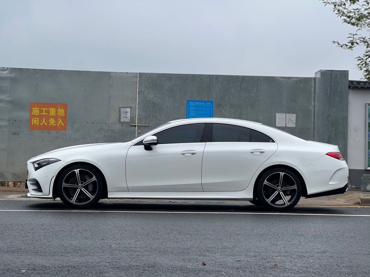 2020年3月奔馳 奔馳CLS級  2020款 CLS 300 豪華型