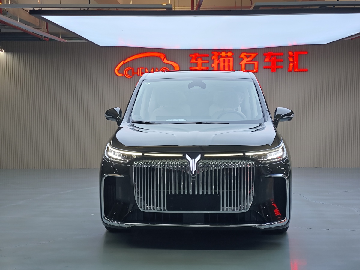 嵐圖 夢想家  2024款 PHEV 超長續(xù)航尊貴版圖片