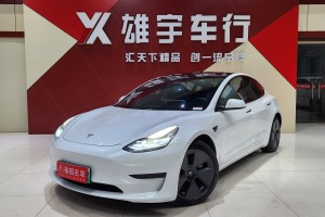 Model 3 特斯拉 标准续航后驱升级版