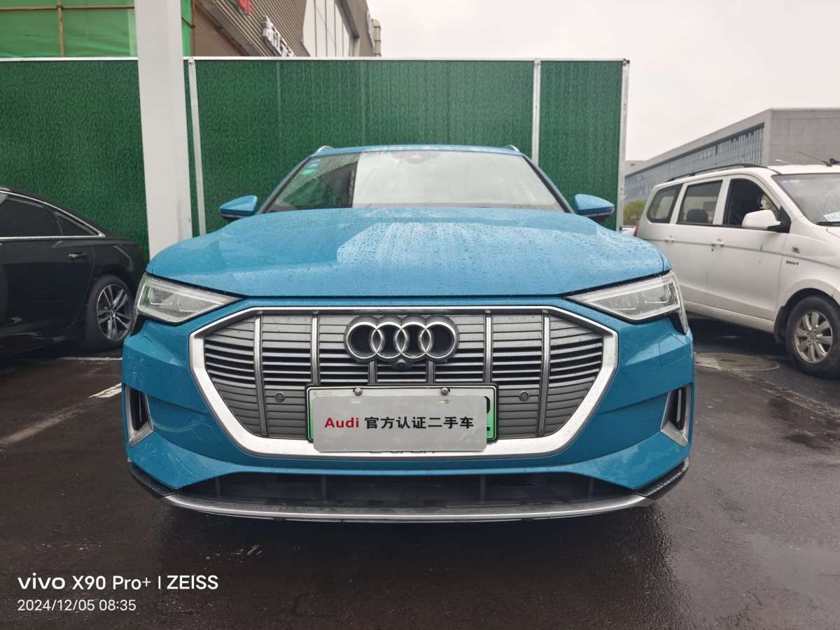 奧迪 奧迪e-tron  2019款 55 quattro 全球限量版Edition 1圖片