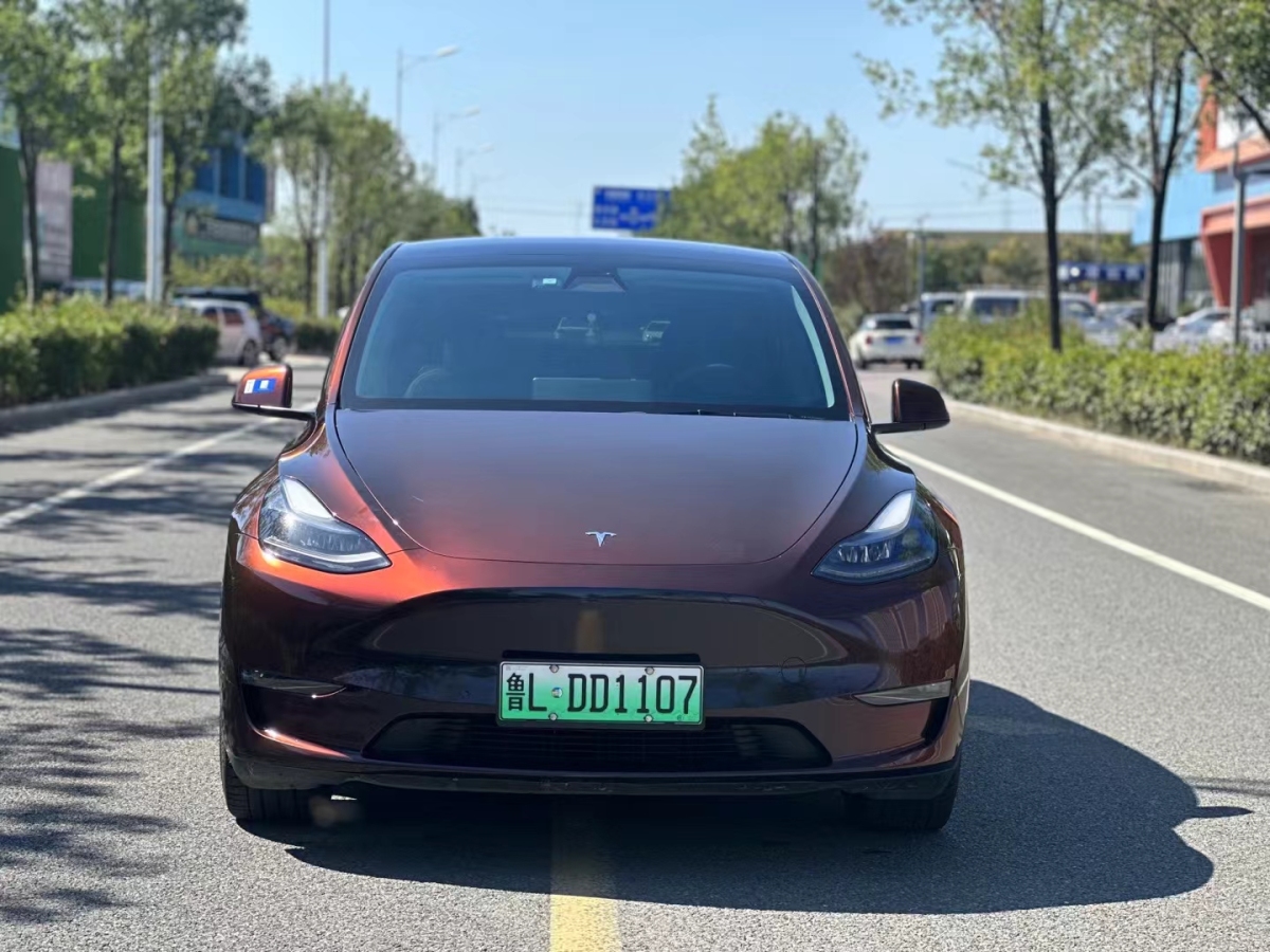 特斯拉 Model Y  2021款 改款 標(biāo)準(zhǔn)續(xù)航后驅(qū)升級版圖片