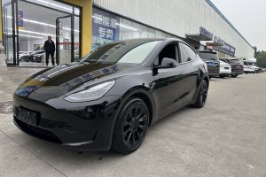 Model 3 特斯拉 改款 长续航后轮驱动版