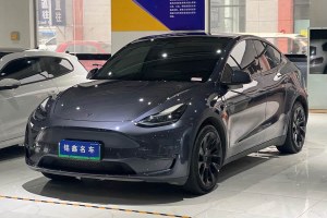 Model Y 特斯拉 長續(xù)航全輪驅(qū)動版