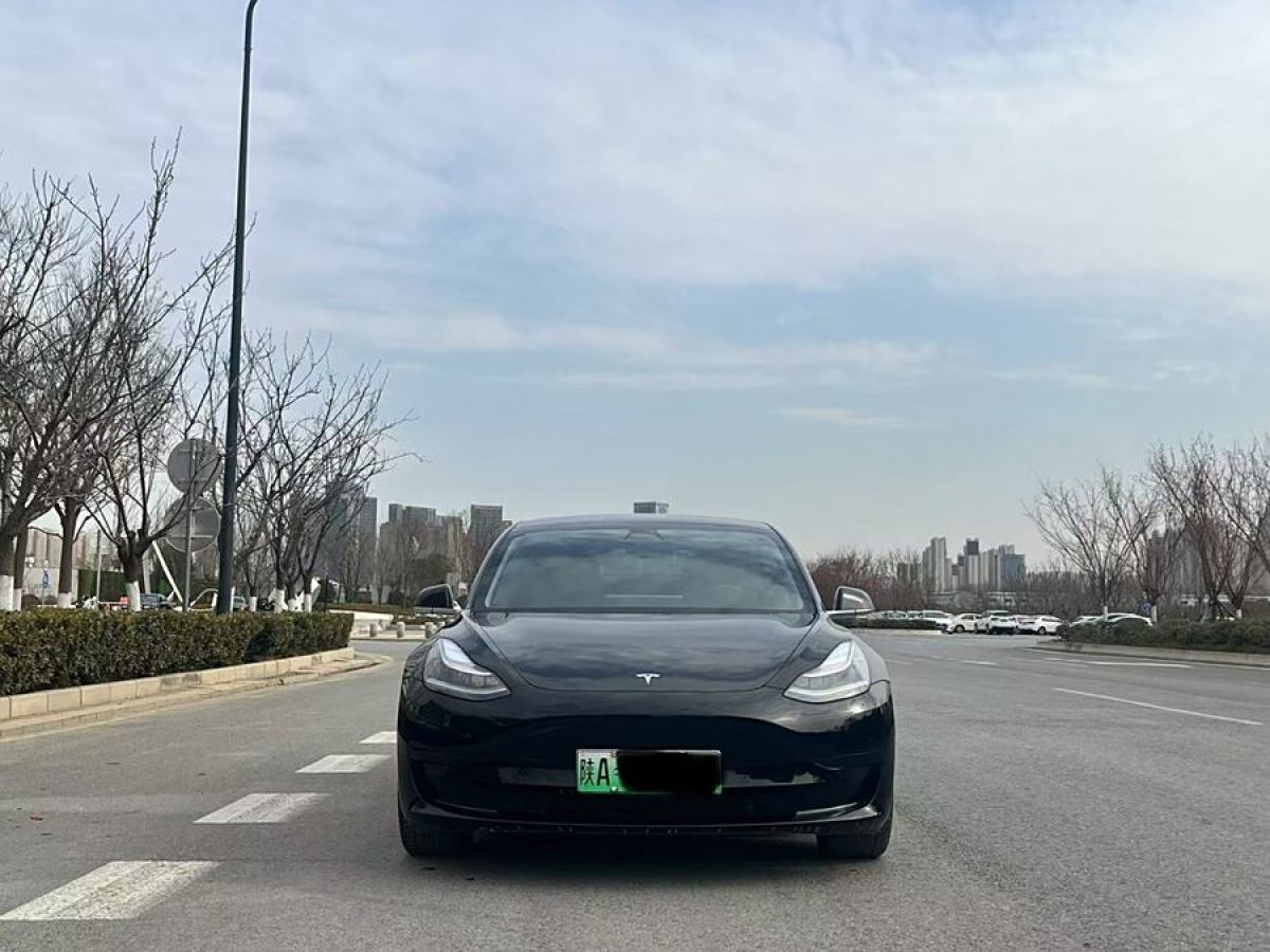 特斯拉 Model 3  2020款 改款 標(biāo)準(zhǔn)續(xù)航后驅(qū)升級(jí)版圖片