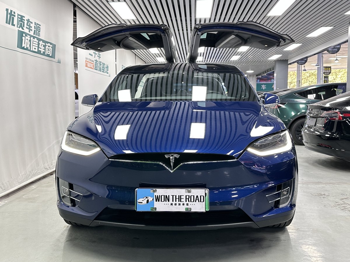 特斯拉 Model X  2017款 Model X 100D 長續(xù)航版圖片