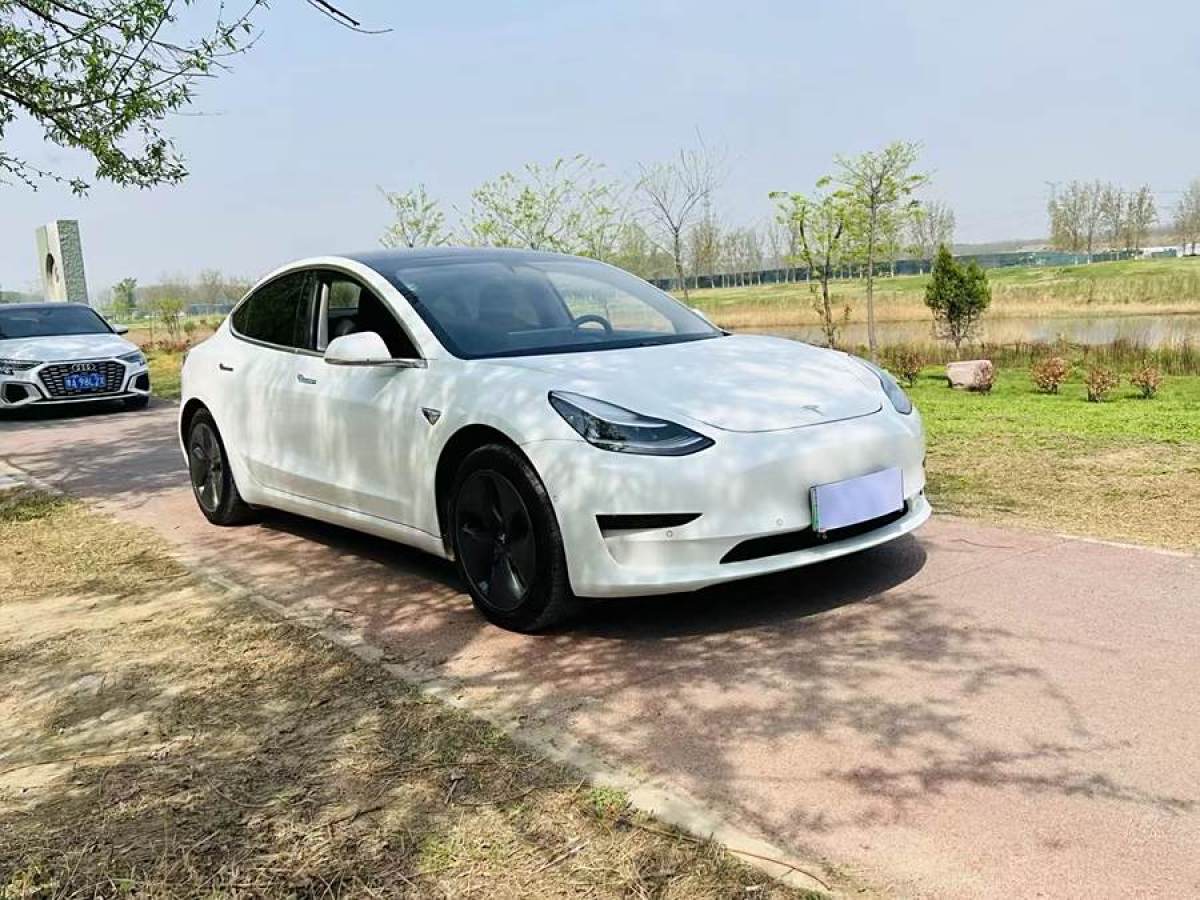 特斯拉 Model 3  2020款 改款 長續(xù)航后輪驅(qū)動版圖片