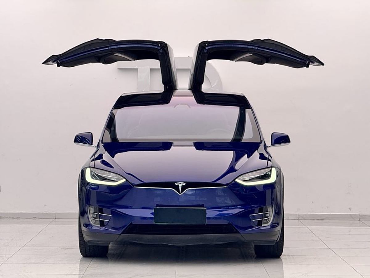 特斯拉 Model X  2019款 長續(xù)航版圖片