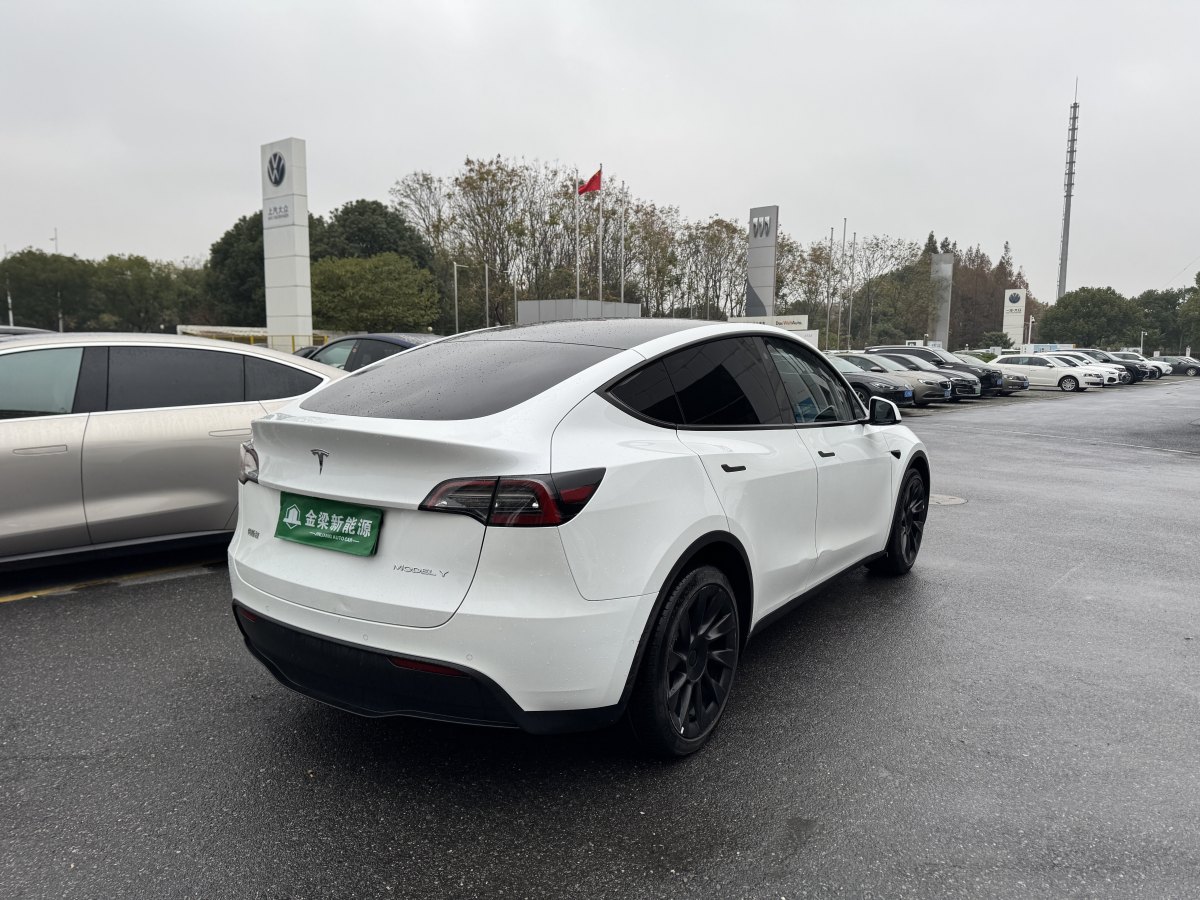 特斯拉 Model Y  2021款 長(zhǎng)續(xù)航全輪驅(qū)動(dòng)版 3D7圖片