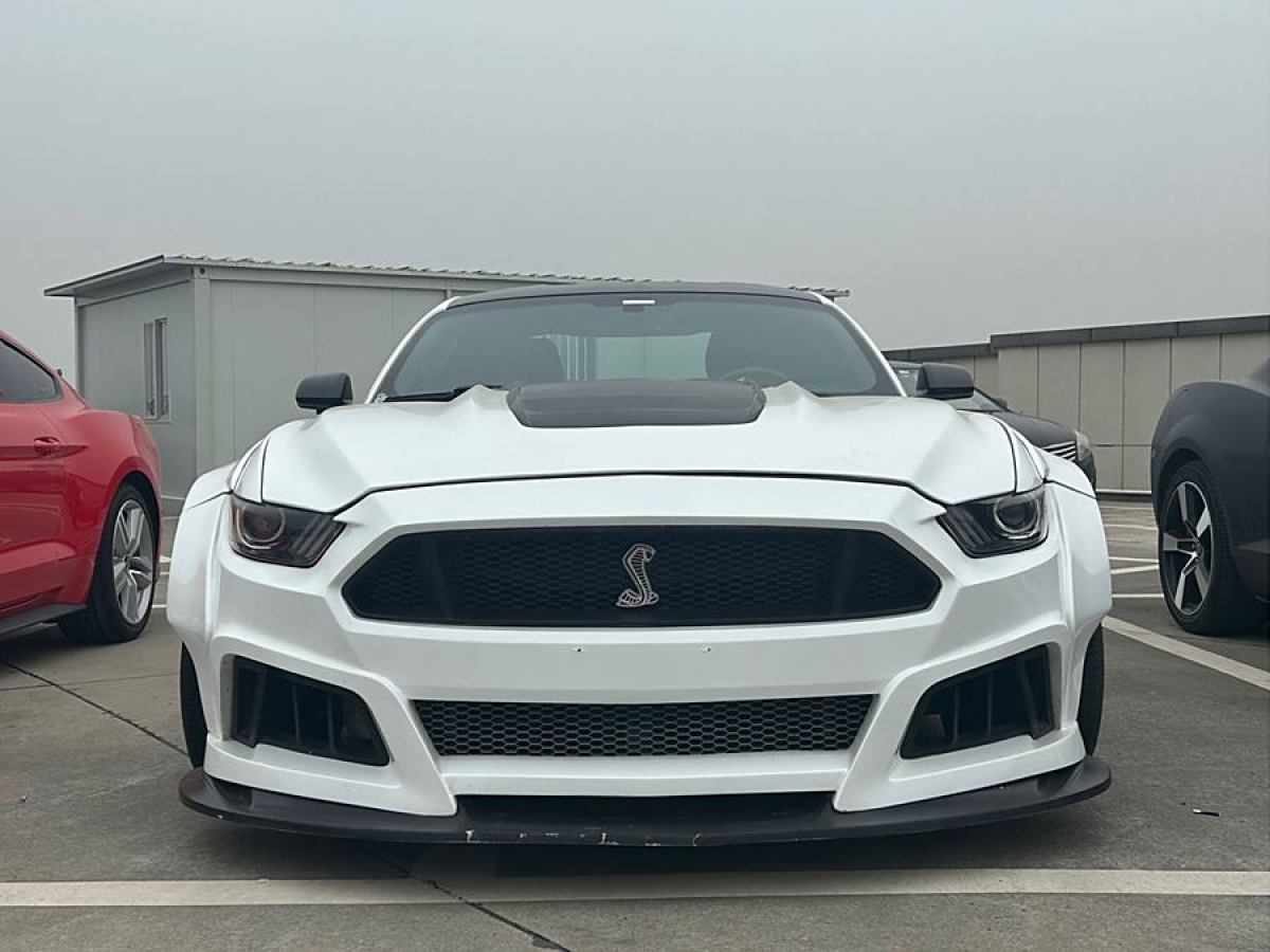 福特 Mustang  2015款 2.3T 性能版圖片