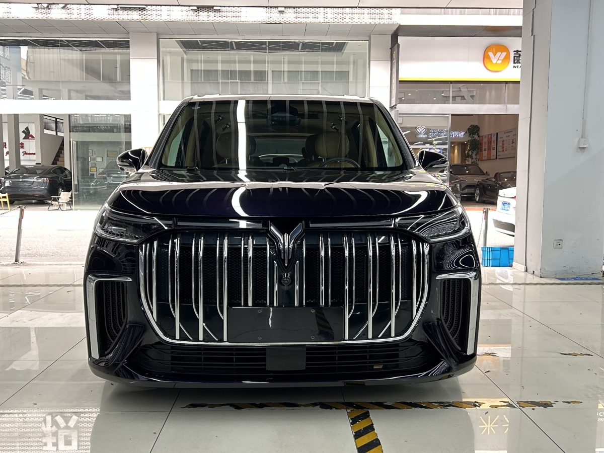 嵐圖 夢想家  2024款 PHEV 超長續(xù)航旗艦版圖片