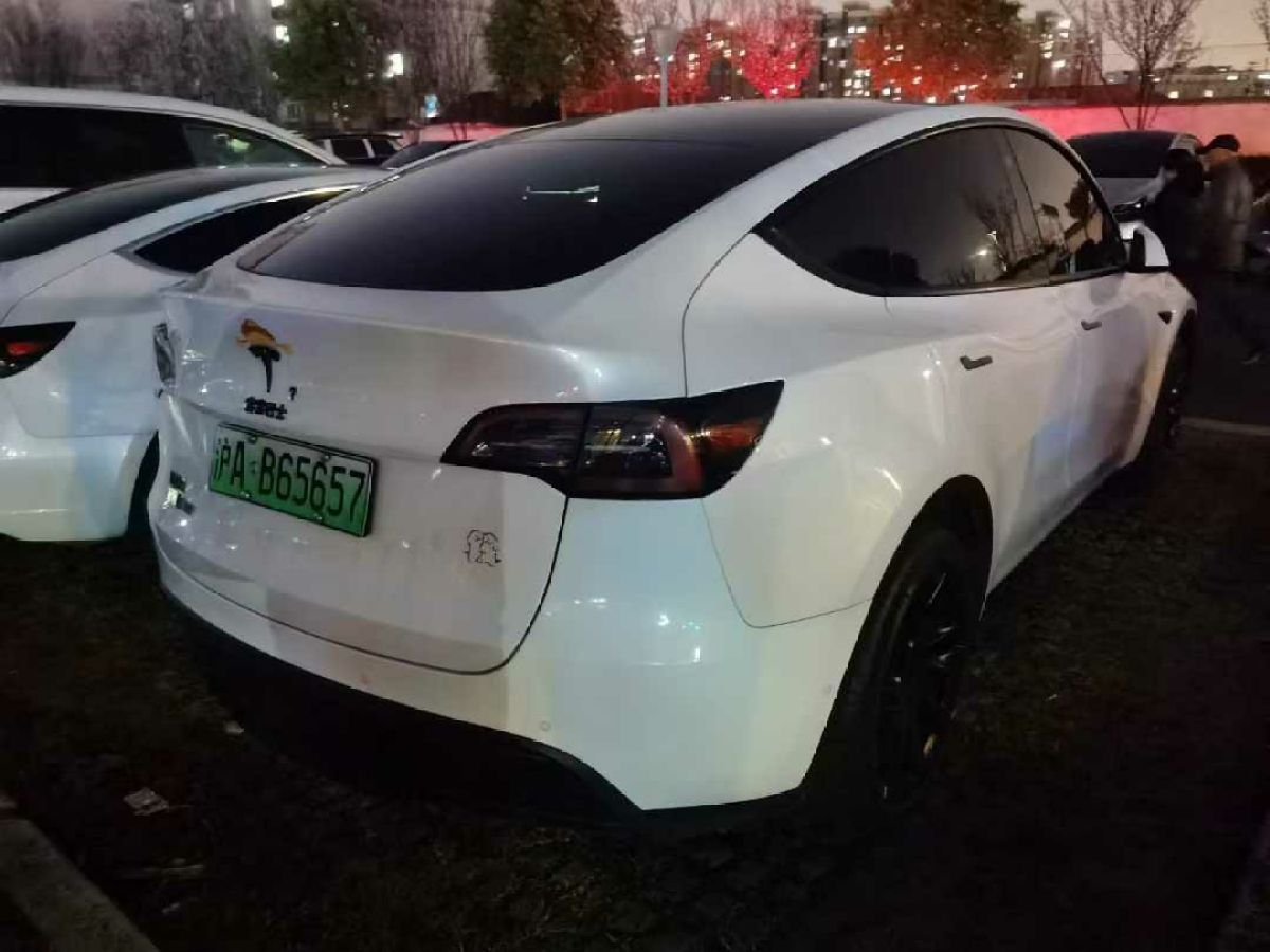 特斯拉 Model 3  2022款 Performance高性能全輪驅(qū)動(dòng)版圖片