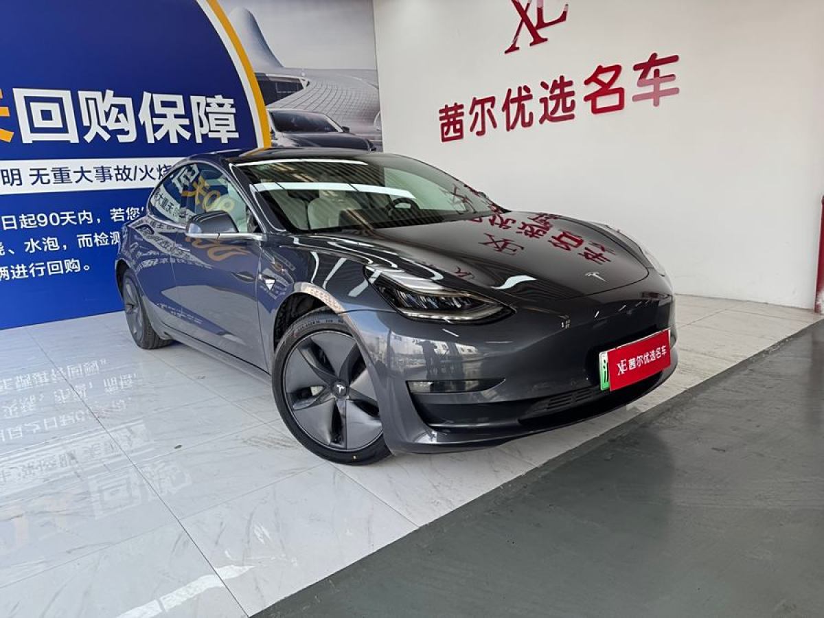 特斯拉 Model 3  2019款 長續(xù)航后驅(qū)版圖片