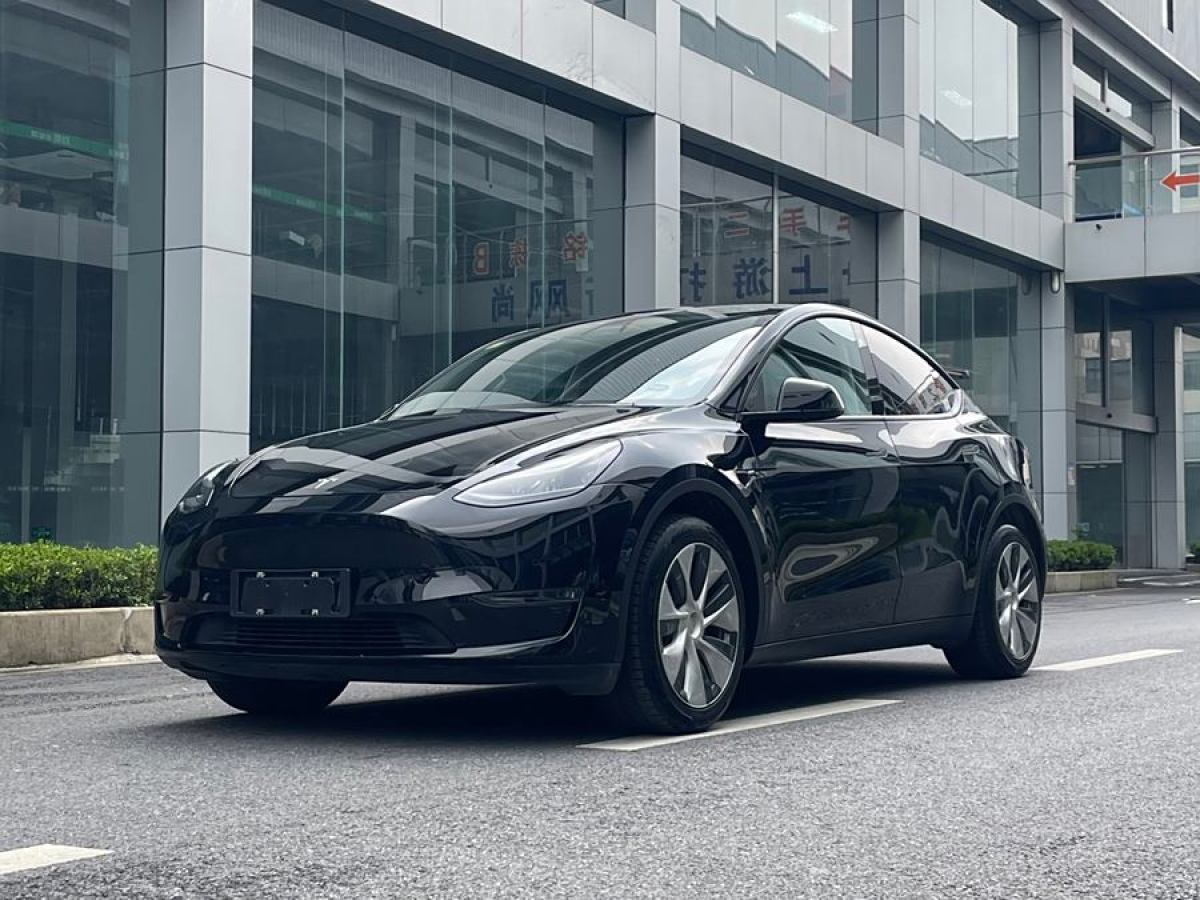 2021年6月特斯拉 Model Y  2021款 改款 長續(xù)航全輪驅(qū)動版