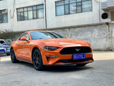 2021年12月 福特 Mustang(進(jìn)口) 2.3L EcoBoost 黑曜魅影特別版圖片