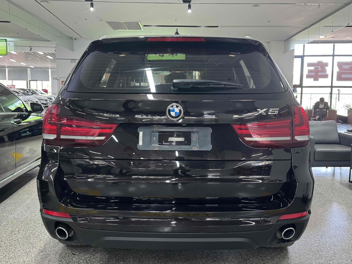 寶馬 寶馬X5  2014款 xDrive35i 領(lǐng)先型圖片