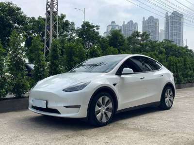 2021年12月 特斯拉 Model Y 后驅(qū)版圖片