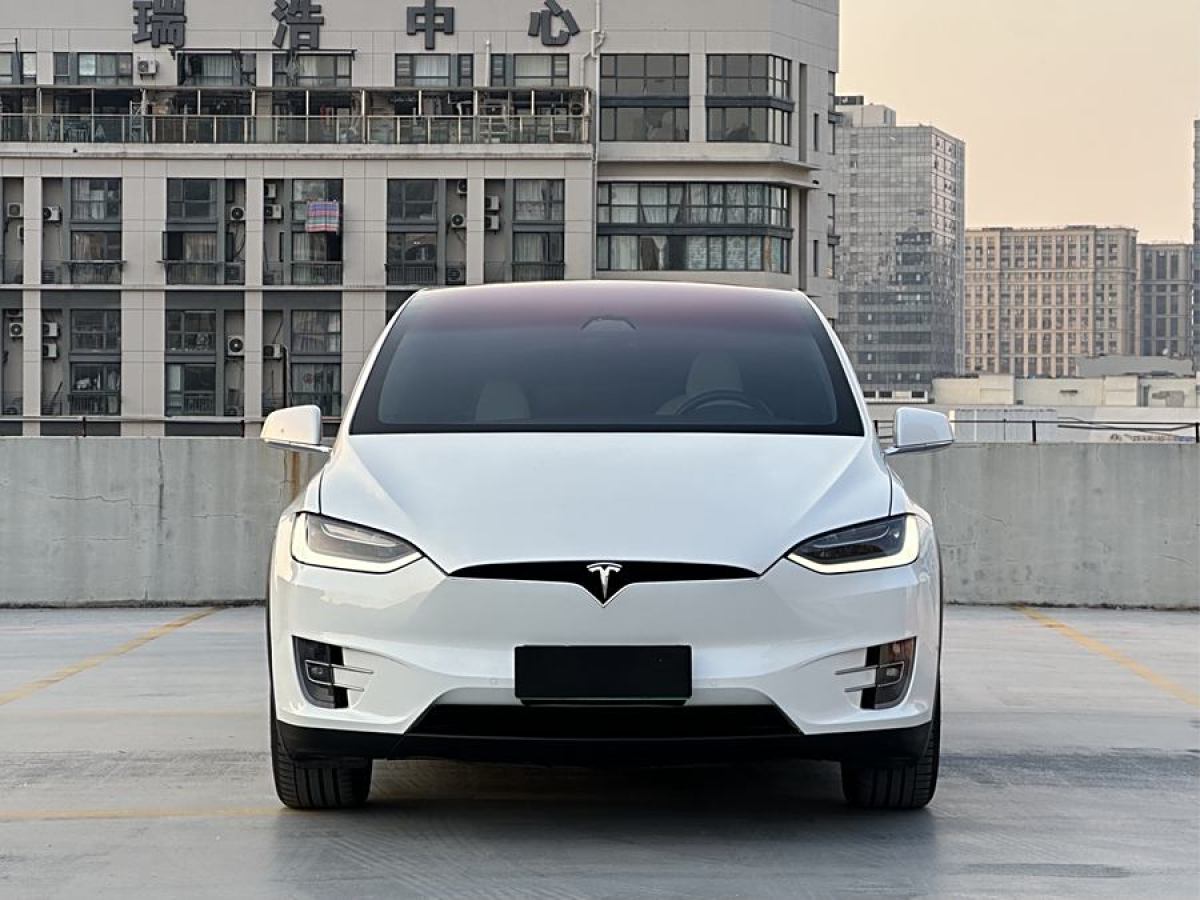 特斯拉 Model X  2019款 Performance 高性能版圖片