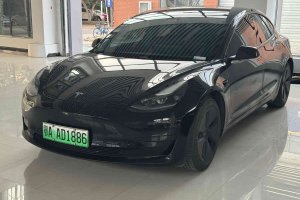 Model 3 特斯拉 改款 標(biāo)準(zhǔn)續(xù)航后驅(qū)升級(jí)版