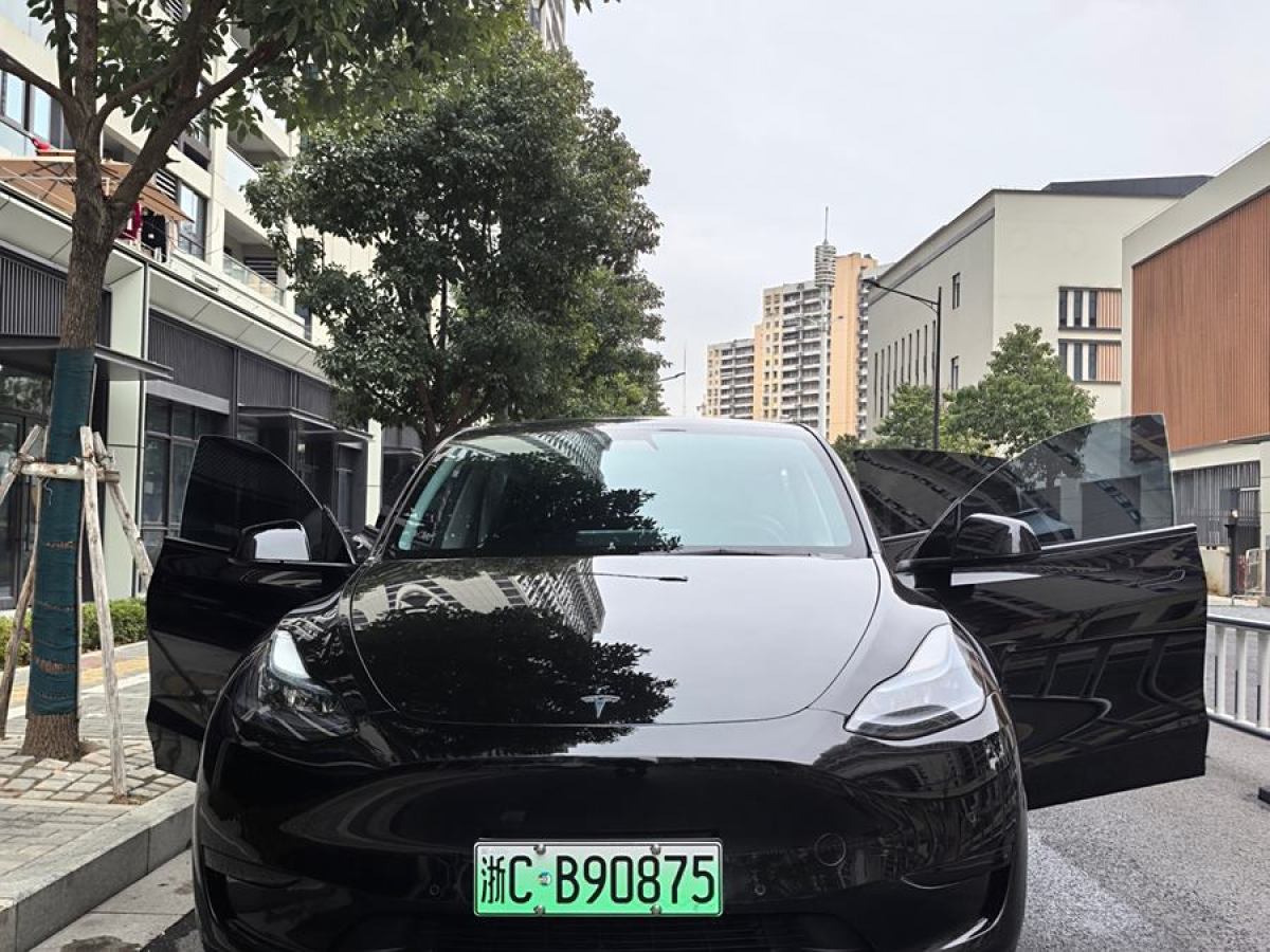 特斯拉 Model 3  2020款 改款 長續(xù)航后輪驅(qū)動版圖片