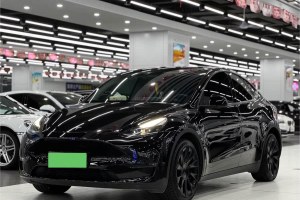 Model Y 特斯拉 長(zhǎng)續(xù)航全輪驅(qū)動(dòng)版