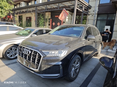 2021年6月 奧迪 奧迪Q7(進(jìn)口) 45 TFSI quattro S line運(yùn)動(dòng)型圖片