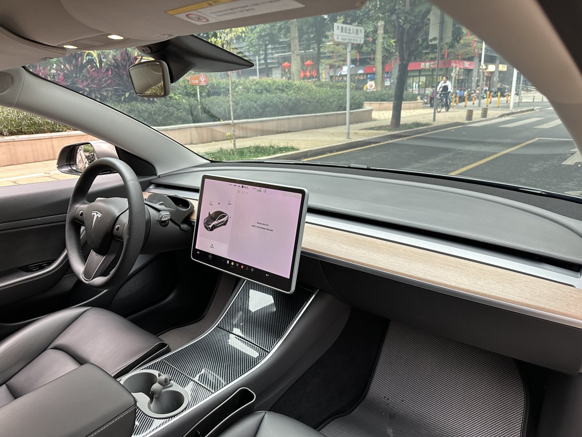 特斯拉 Model 3  2019款 標(biāo)準(zhǔn)續(xù)航后驅(qū)升級(jí)版圖片