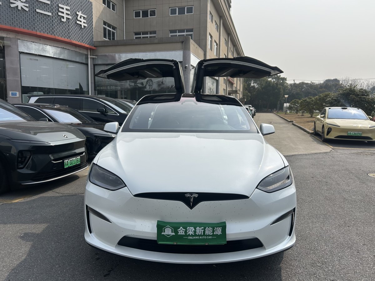 特斯拉 Model X  2023款 雙電機(jī)全輪驅(qū)動(dòng)版圖片