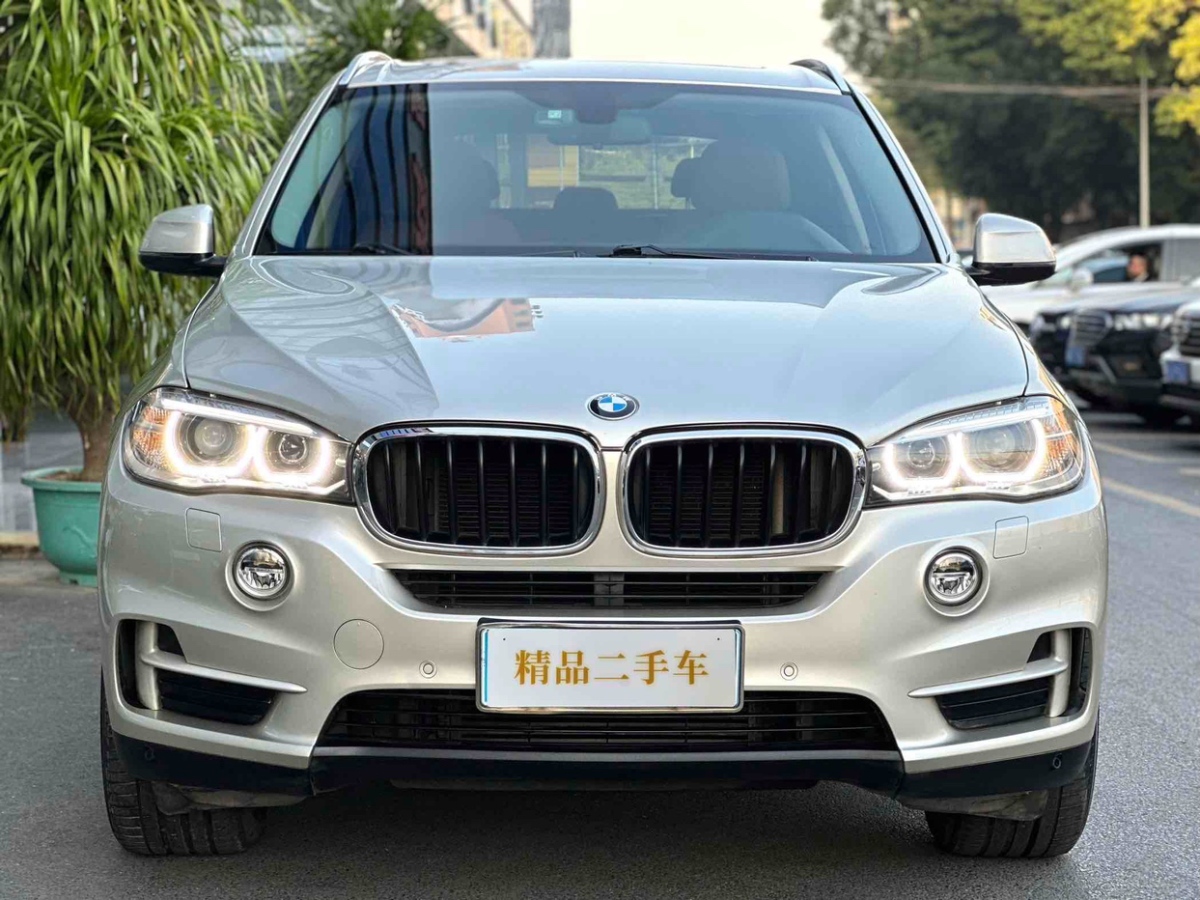 寶馬 寶馬X5  2014款 xDrive35i 領(lǐng)先型圖片