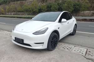 Model Y 特斯拉 長續(xù)航全輪驅(qū)動(dòng)版