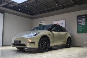 Model Y 特斯拉 后轮驱动版