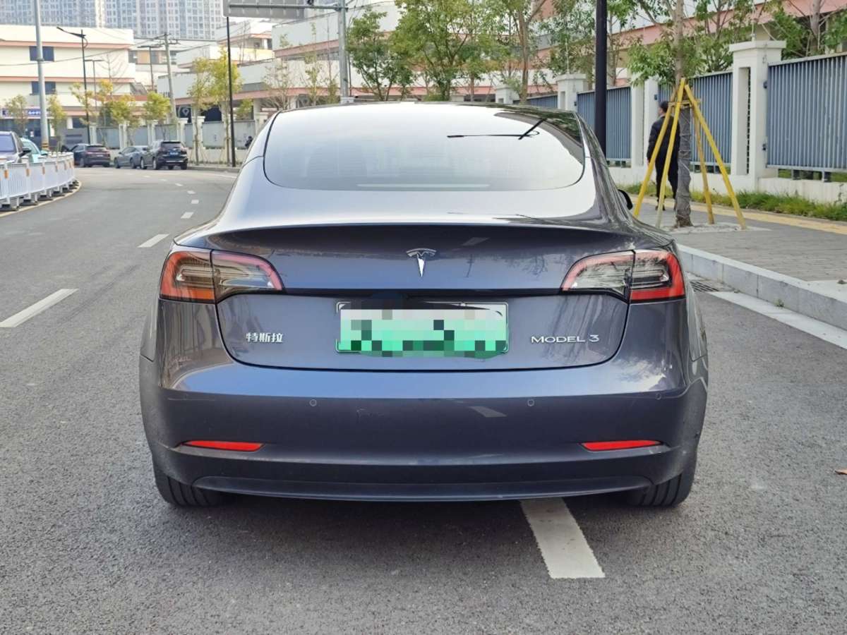 特斯拉 Model 3  2021款 標(biāo)準(zhǔn)續(xù)航后驅(qū)升級(jí)版 3D6圖片