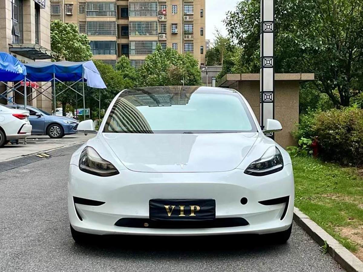 特斯拉 Model 3  2019款 標(biāo)準(zhǔn)續(xù)航后驅(qū)升級(jí)版圖片