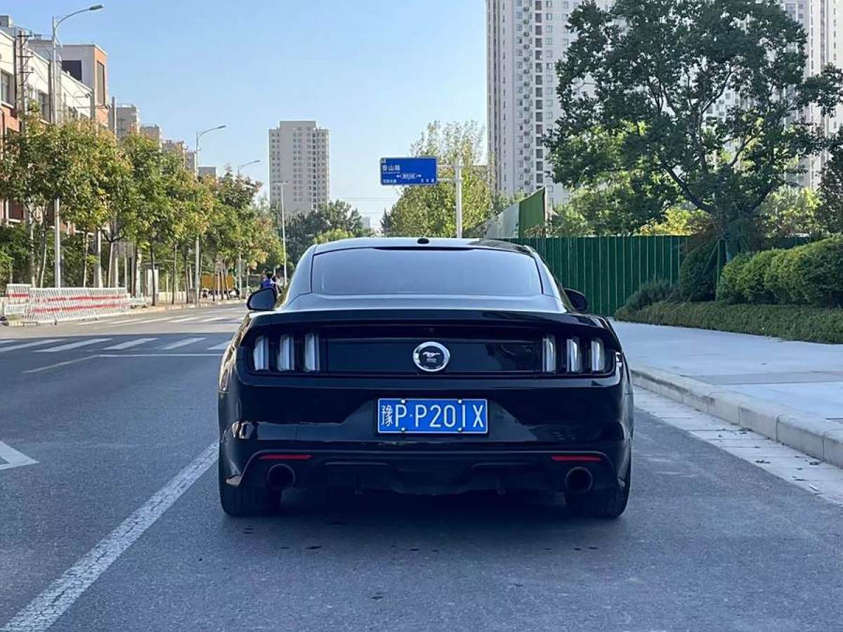 福特 Mustang  2015款 2.3T 性能版圖片