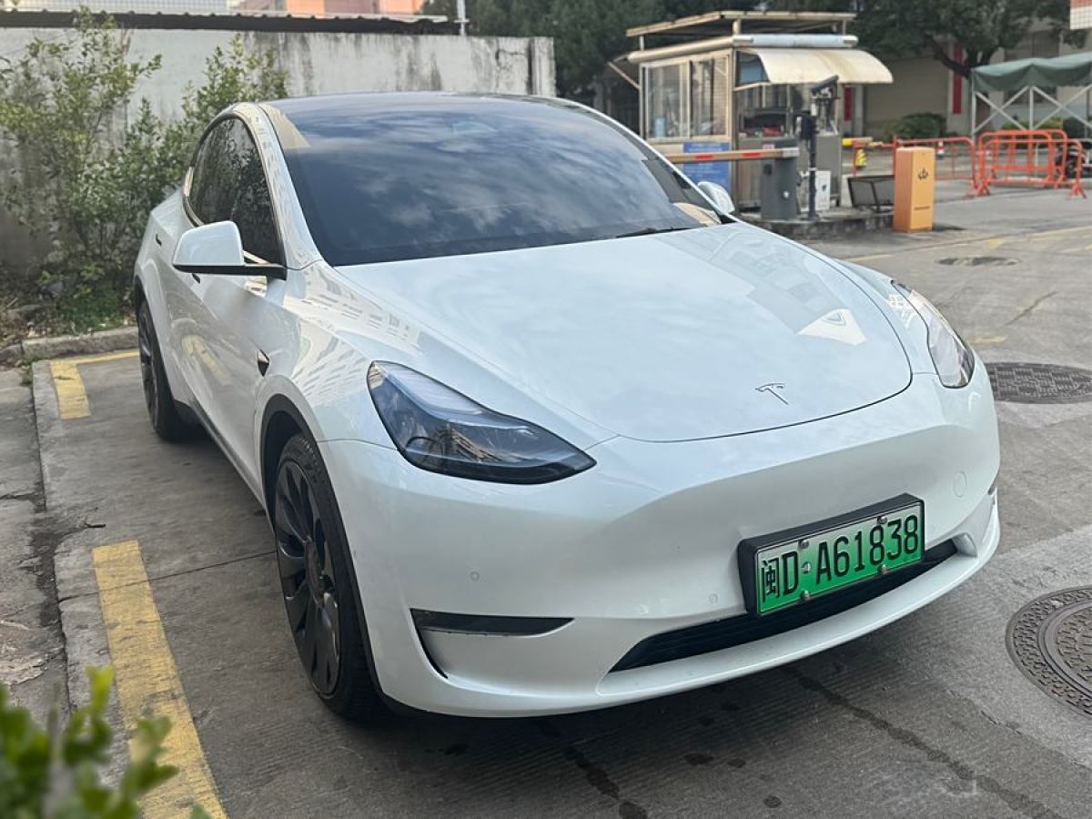 特斯拉 Model 3  2021款 改款 Performance高性能全輪驅(qū)動版圖片