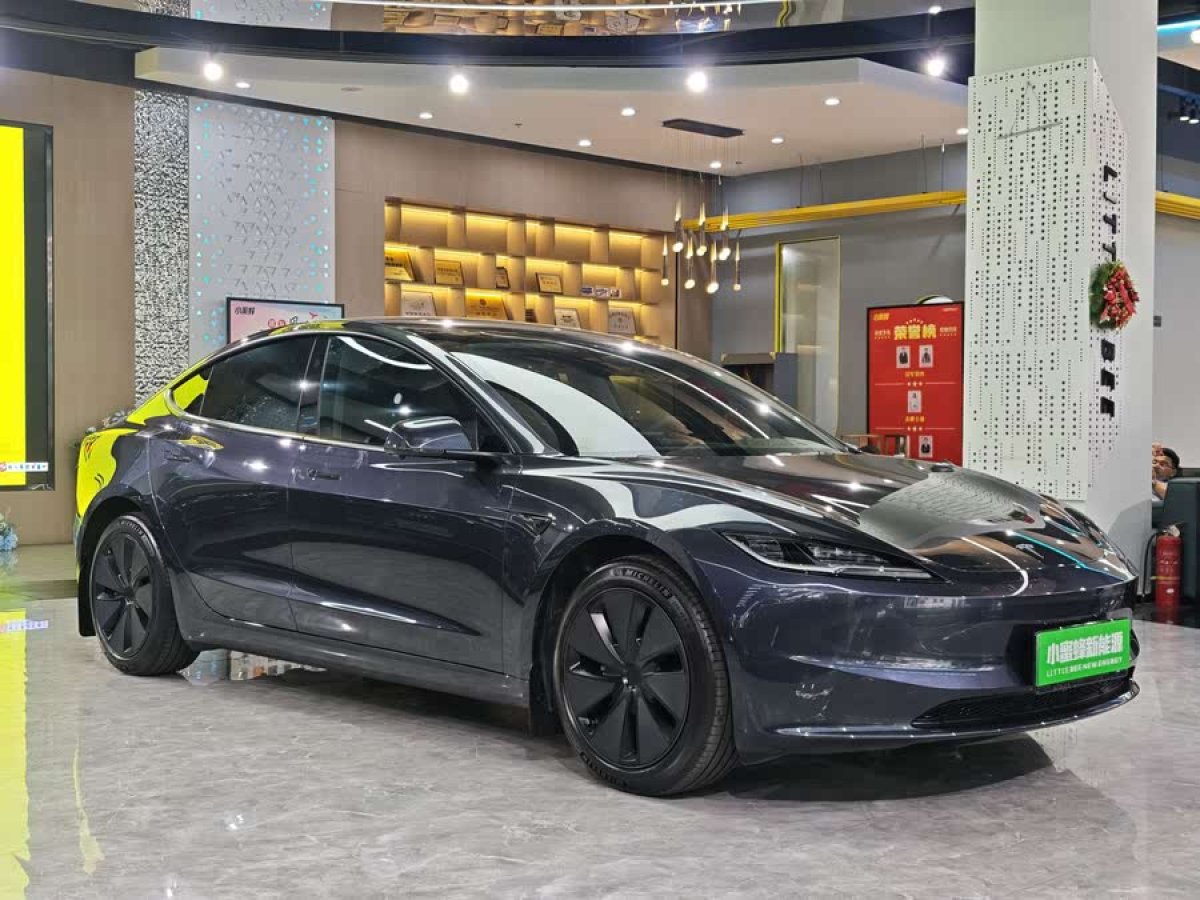 特斯拉 Model 3  2023款 煥新版 后輪驅(qū)動(dòng)圖片