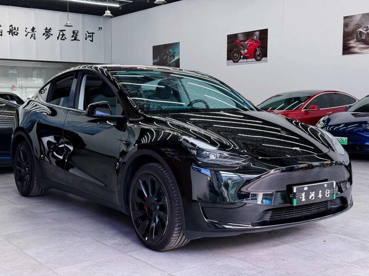 特斯拉 Model Y  2020款 改款 長續(xù)航后輪驅(qū)動版圖片