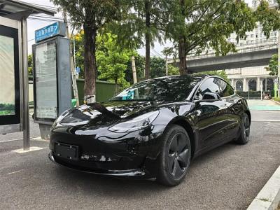 2020年5月 特斯拉 Model 3 改款 標(biāo)準(zhǔn)續(xù)航后驅(qū)升級版圖片