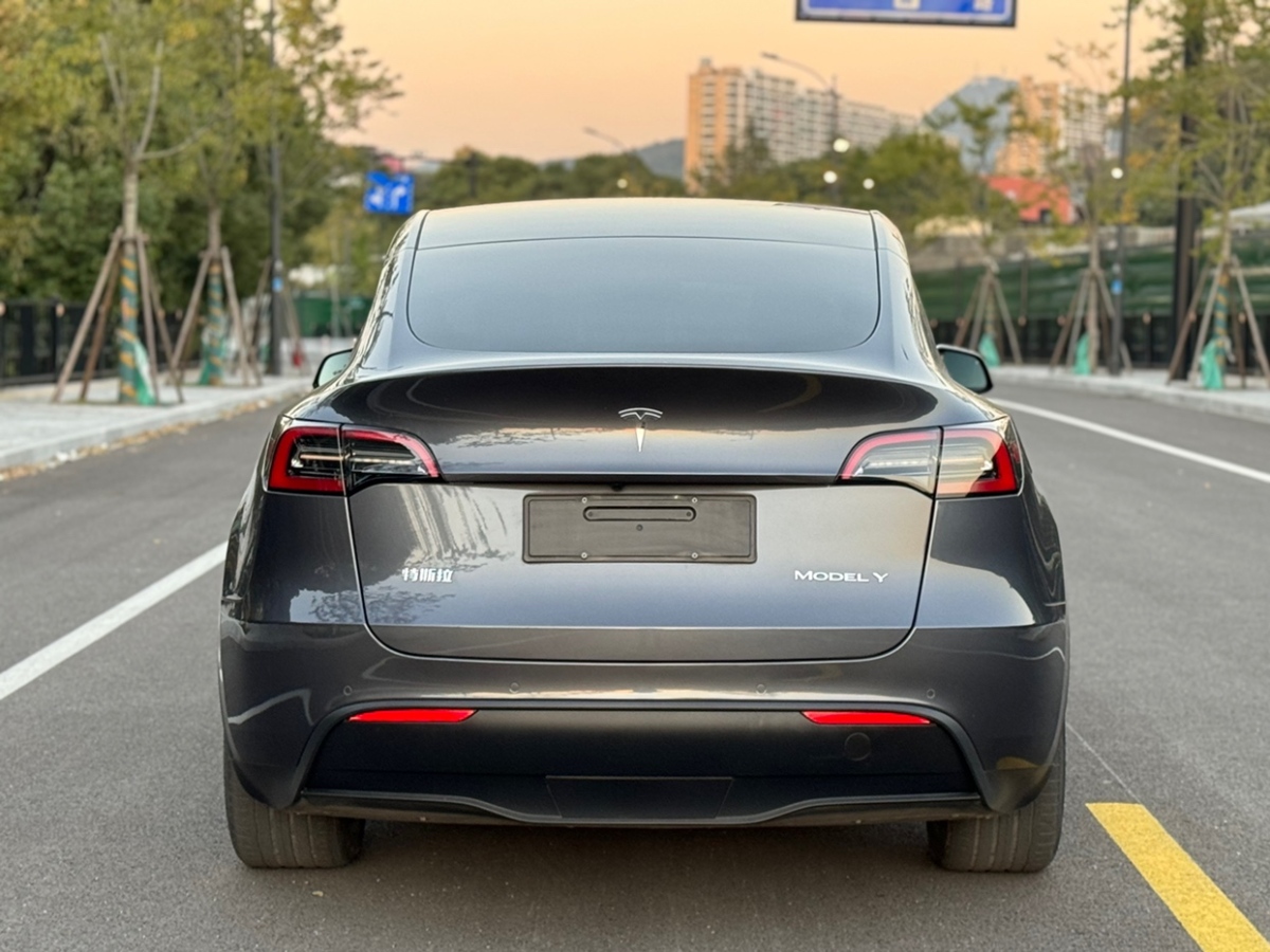 特斯拉 Model 3  2021款 改款 標(biāo)準(zhǔn)續(xù)航后驅(qū)升級(jí)版圖片