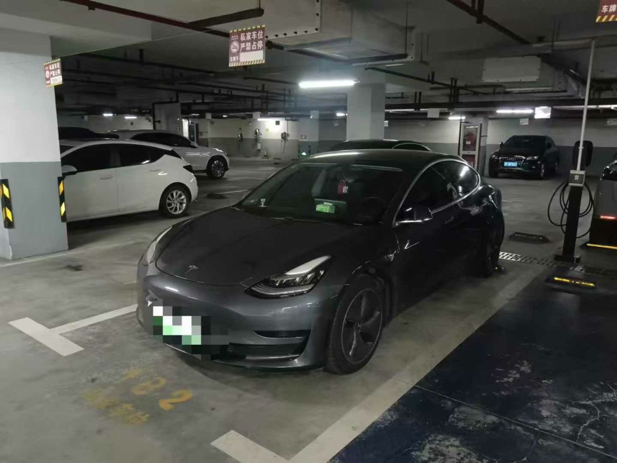 2021年1月特斯拉 Model 3  2021款 標(biāo)準(zhǔn)續(xù)航后驅(qū)版