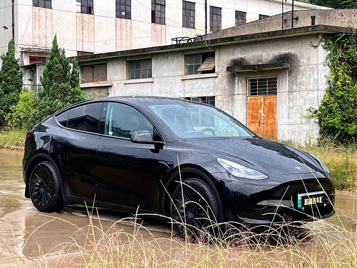 特斯拉 Model Y  2022款 后輪驅(qū)動版圖片