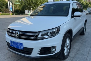 途觀 大眾 1.8TSI 手動(dòng)兩驅(qū)限量版