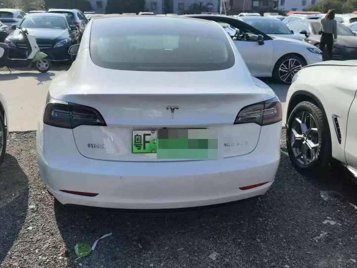 特斯拉 Model X  2020款 Performance 高性能版圖片