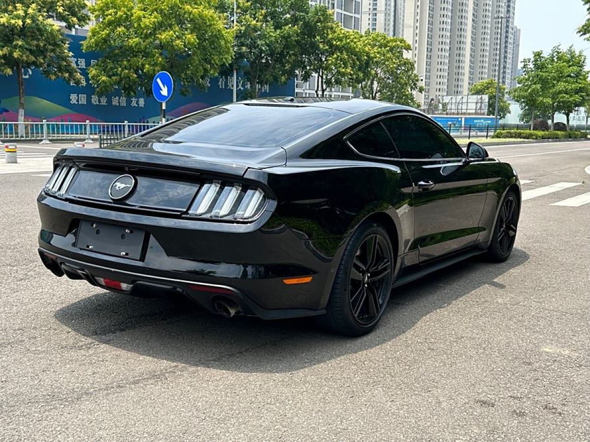 福特 Mustang  2016款 2.3T 性能版圖片