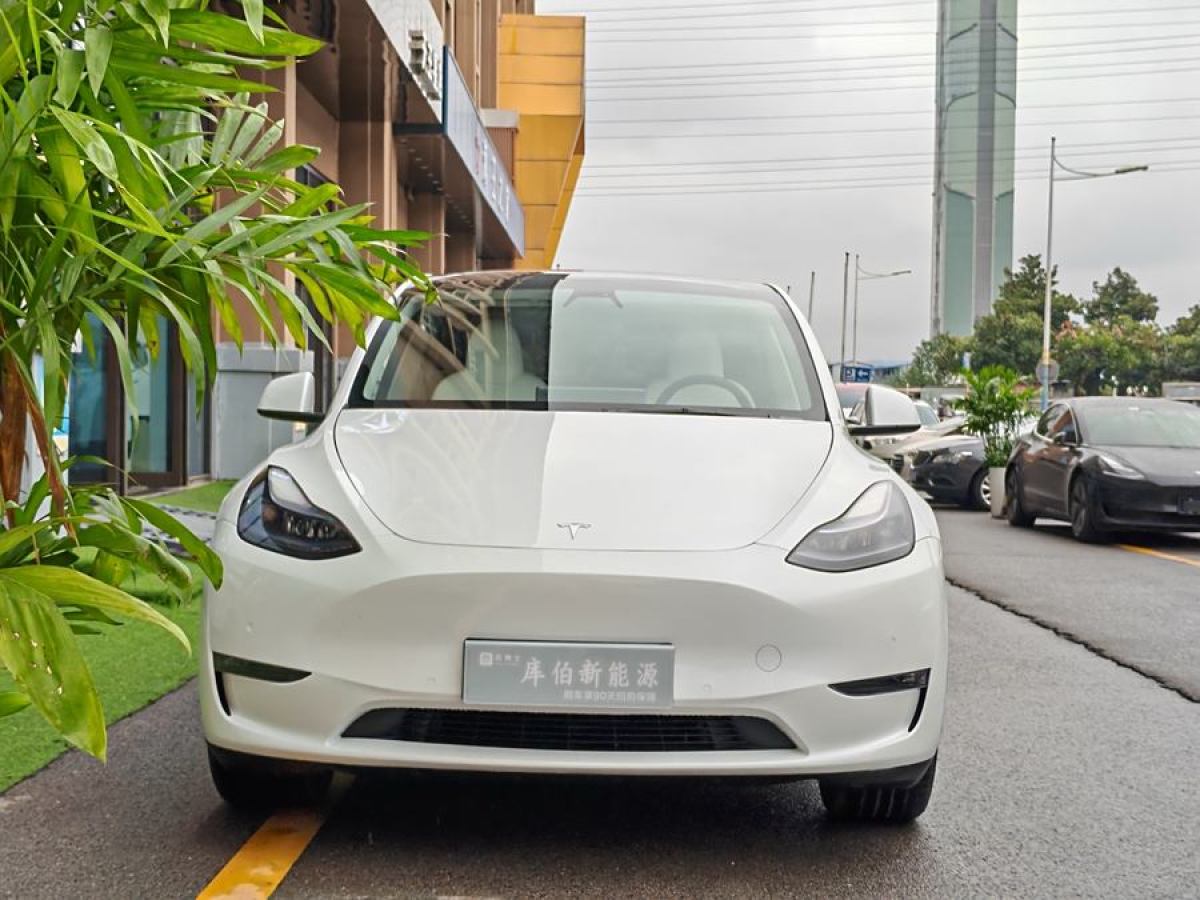 特斯拉 Model Y  2022款 改款 長續(xù)航全輪驅(qū)動版圖片