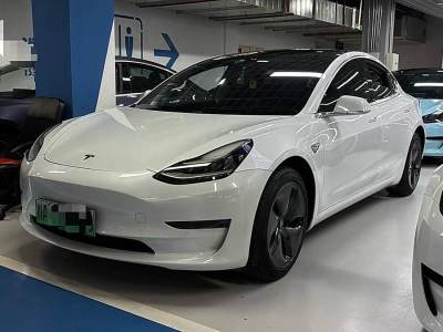 2020年6月 特斯拉 Model 3 改款 長續(xù)航后輪驅(qū)動版圖片